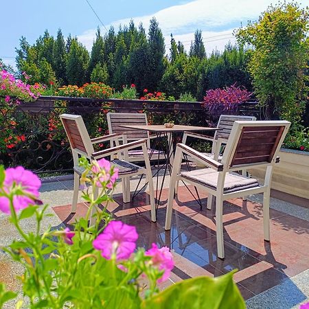 Vila Sentic Vranje Bagian luar foto