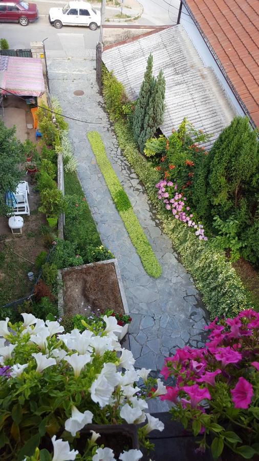 Vila Sentic Vranje Bagian luar foto