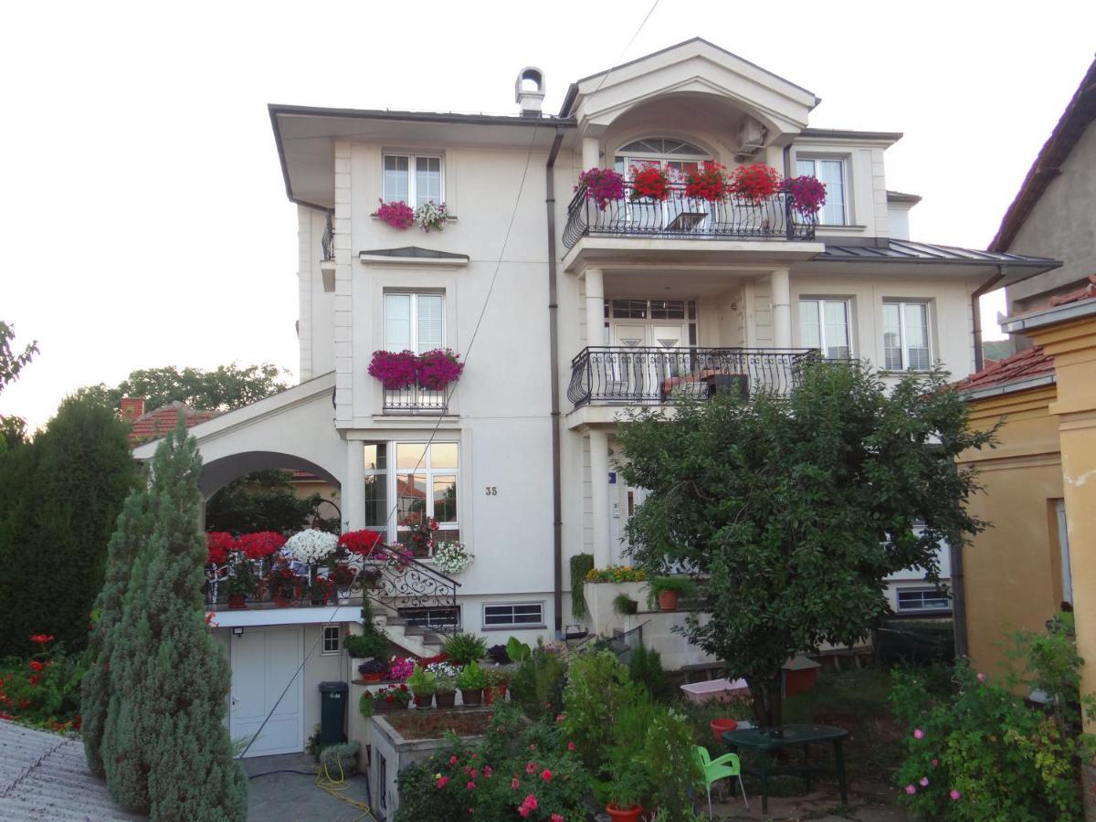 Vila Sentic Vranje Bagian luar foto