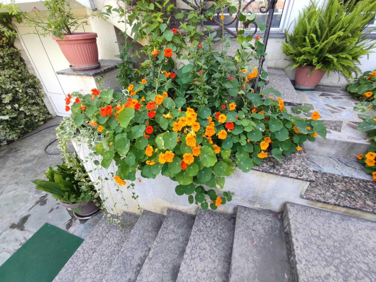 Vila Sentic Vranje Bagian luar foto