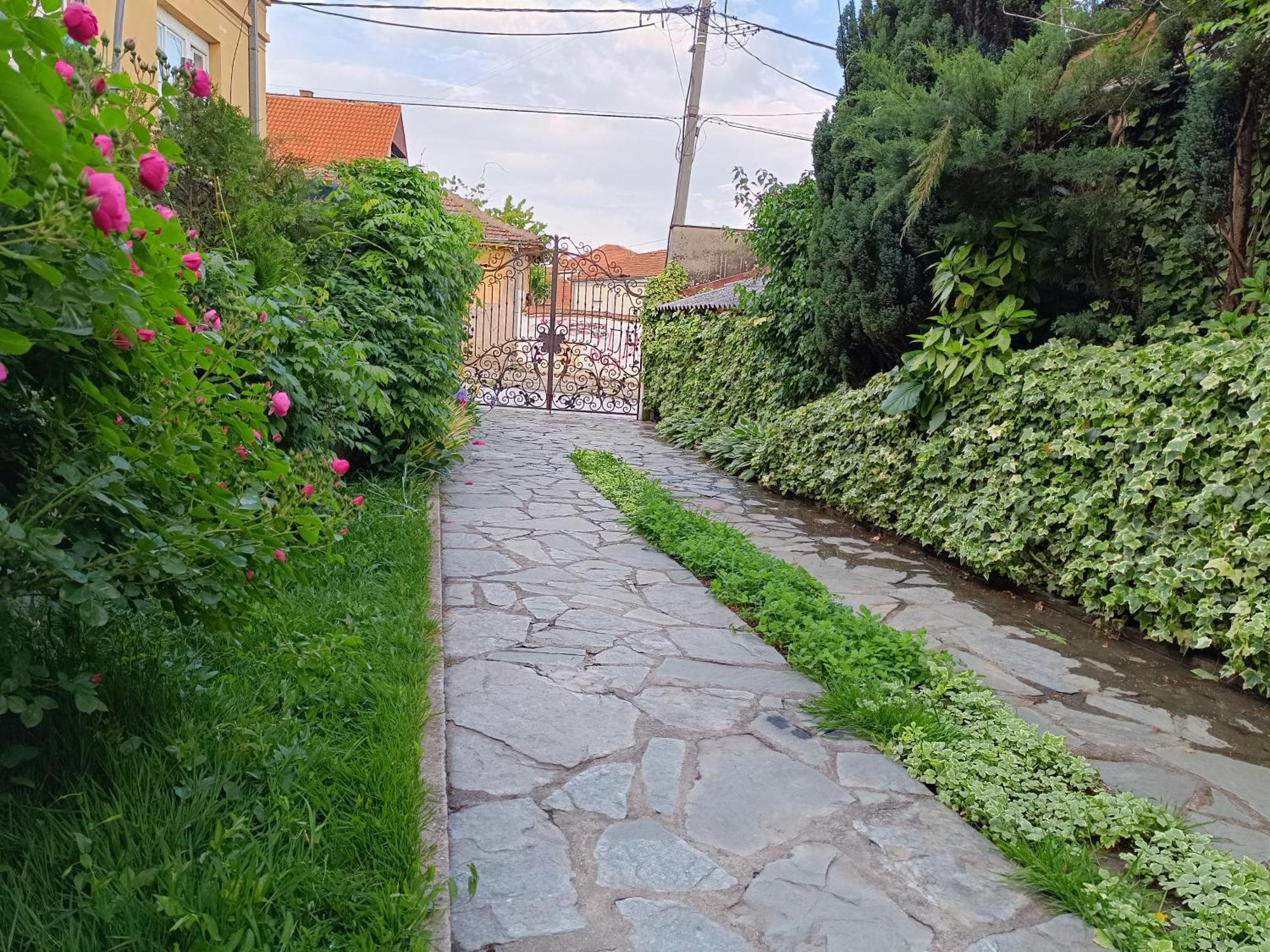 Vila Sentic Vranje Bagian luar foto