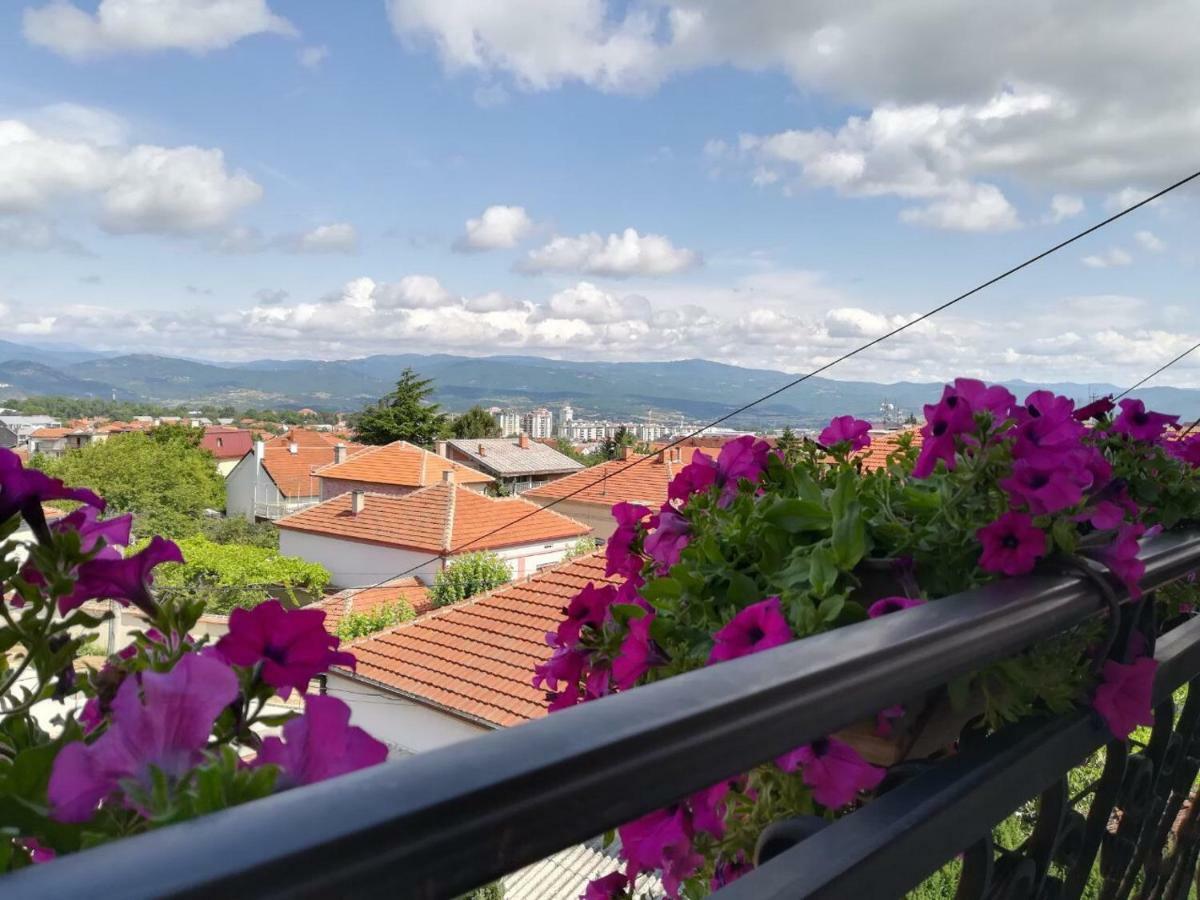 Vila Sentic Vranje Bagian luar foto