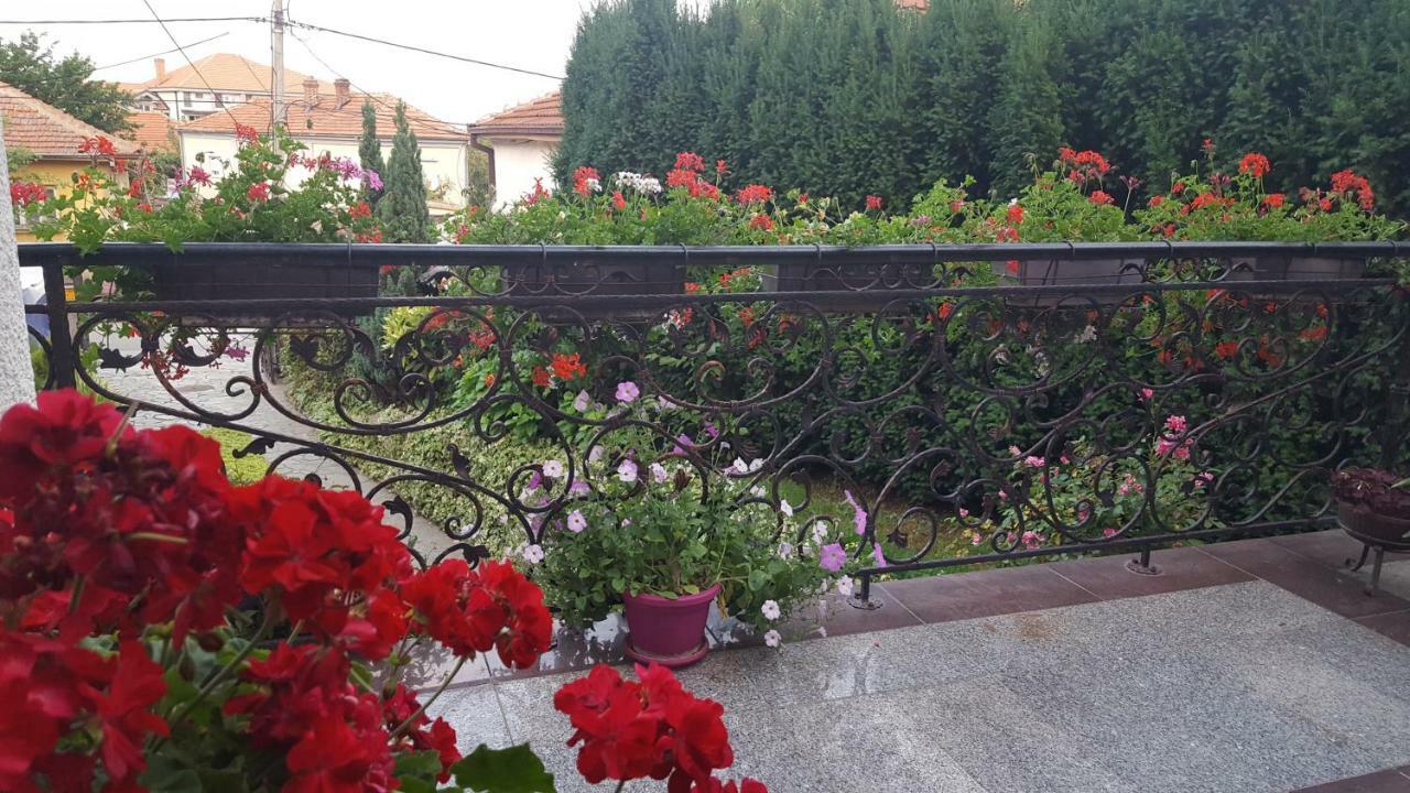 Vila Sentic Vranje Bagian luar foto