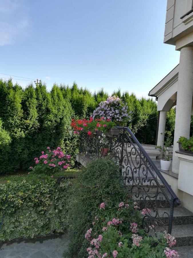 Vila Sentic Vranje Bagian luar foto