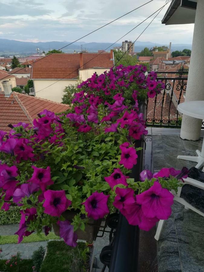 Vila Sentic Vranje Bagian luar foto