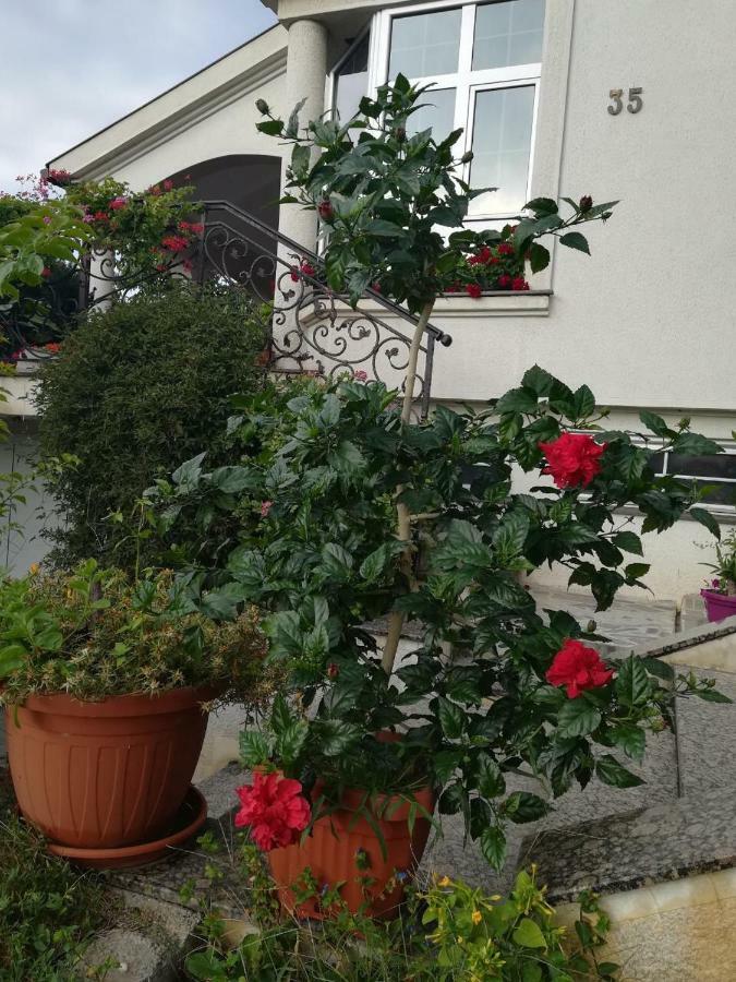 Vila Sentic Vranje Bagian luar foto