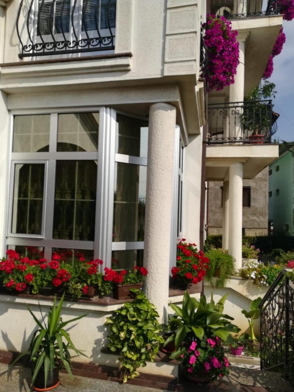 Vila Sentic Vranje Bagian luar foto