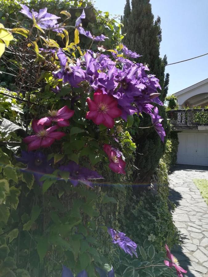 Vila Sentic Vranje Bagian luar foto