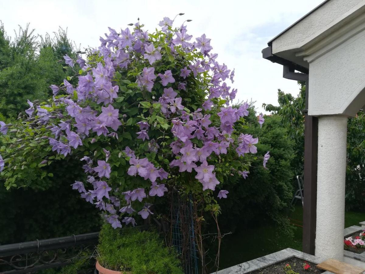 Vila Sentic Vranje Bagian luar foto